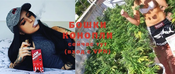 ешки Надым