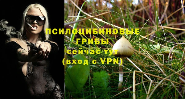 ешки Надым