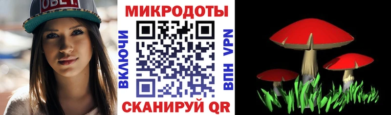 Галлюциногенные грибы Cubensis  наркотики  Нюрба 